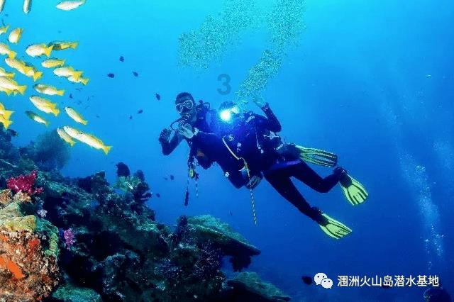 在同一单位工作18年，每年都签订劳动合同，马上到了退休年龄，但养老保险只交了4年，是否能享受退休？